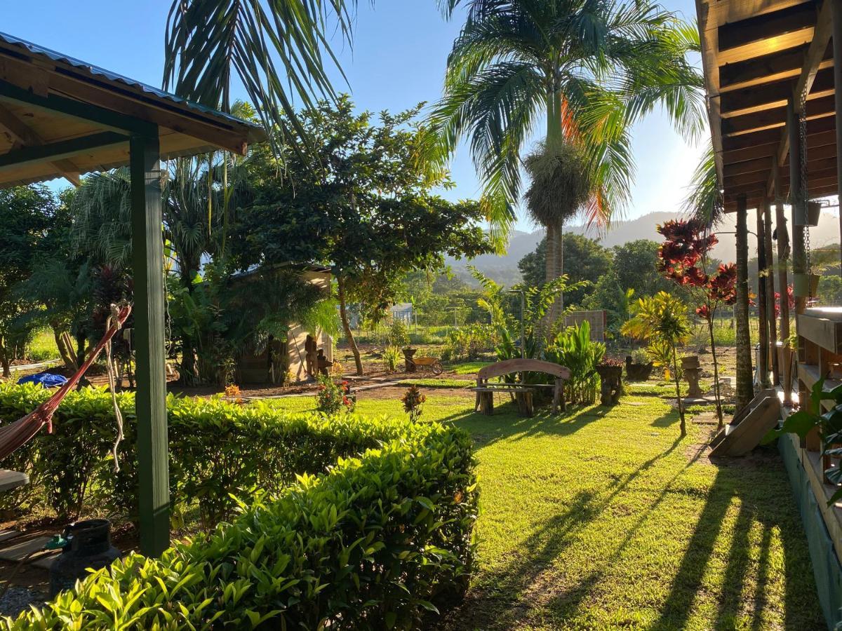 Uvita Oasis Retreat With Villa Cabins And Apartment Exterior photo