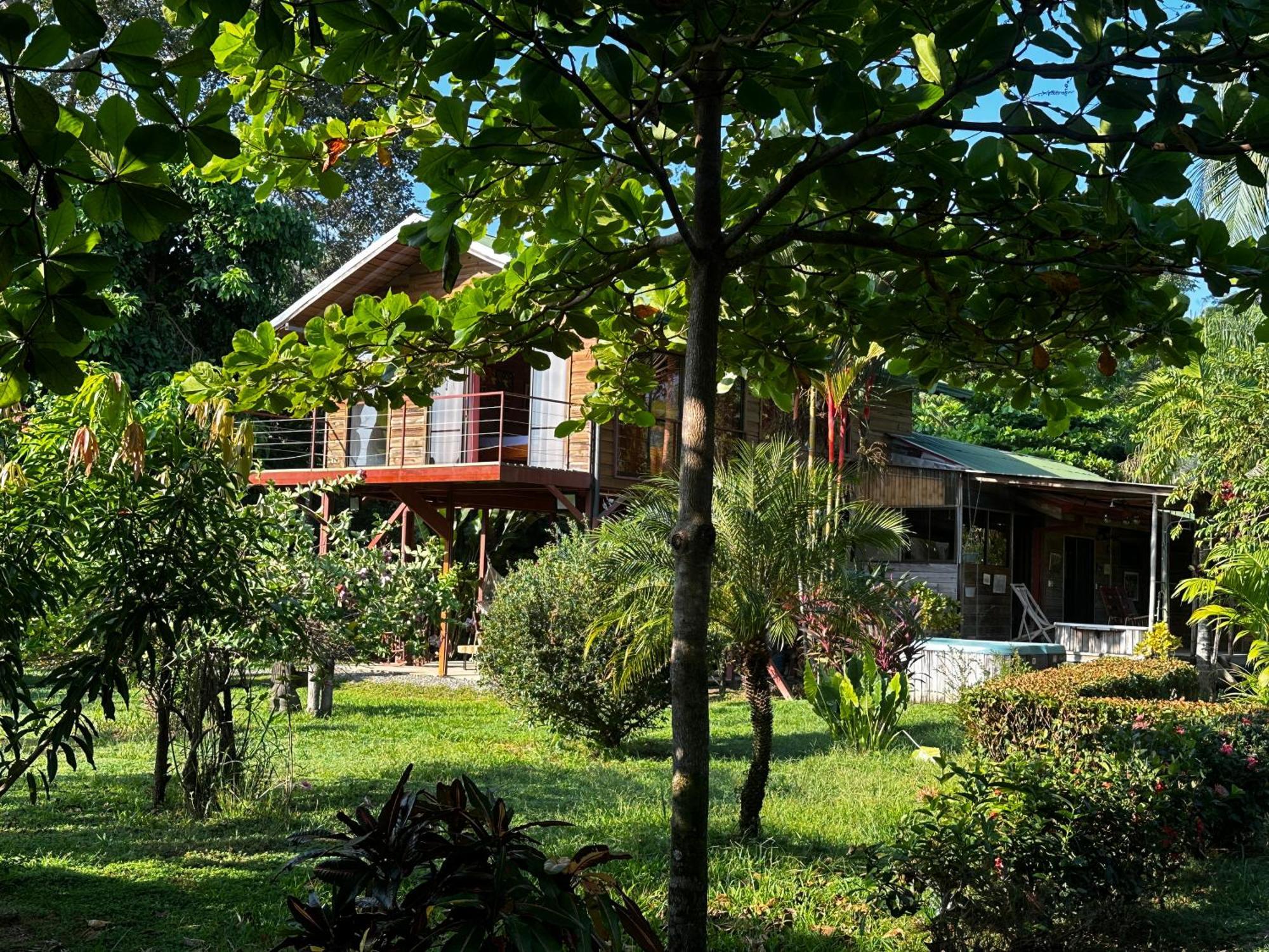 Uvita Oasis Retreat With Villa Cabins And Apartment Exterior photo