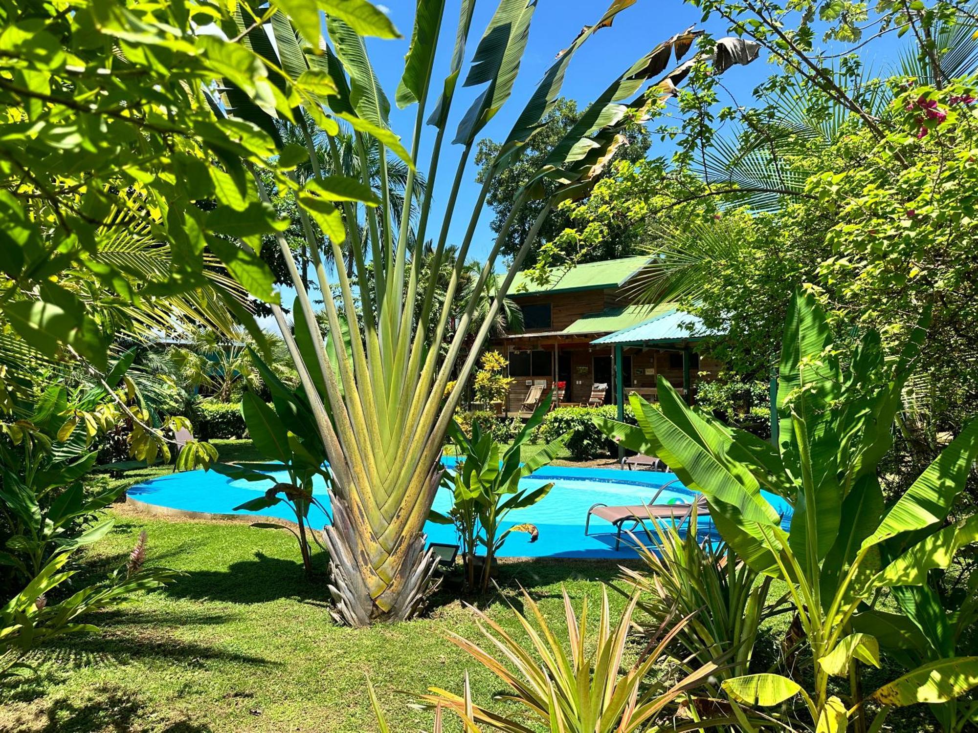 Uvita Oasis Retreat With Villa Cabins And Apartment Exterior photo